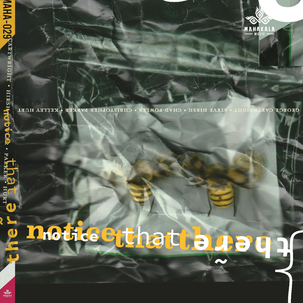 Steve Hirsh George Cartwright - Notice That There ((CD))