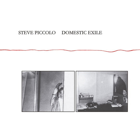 STEVE PICCOLO - Domestic Exile ((CD))