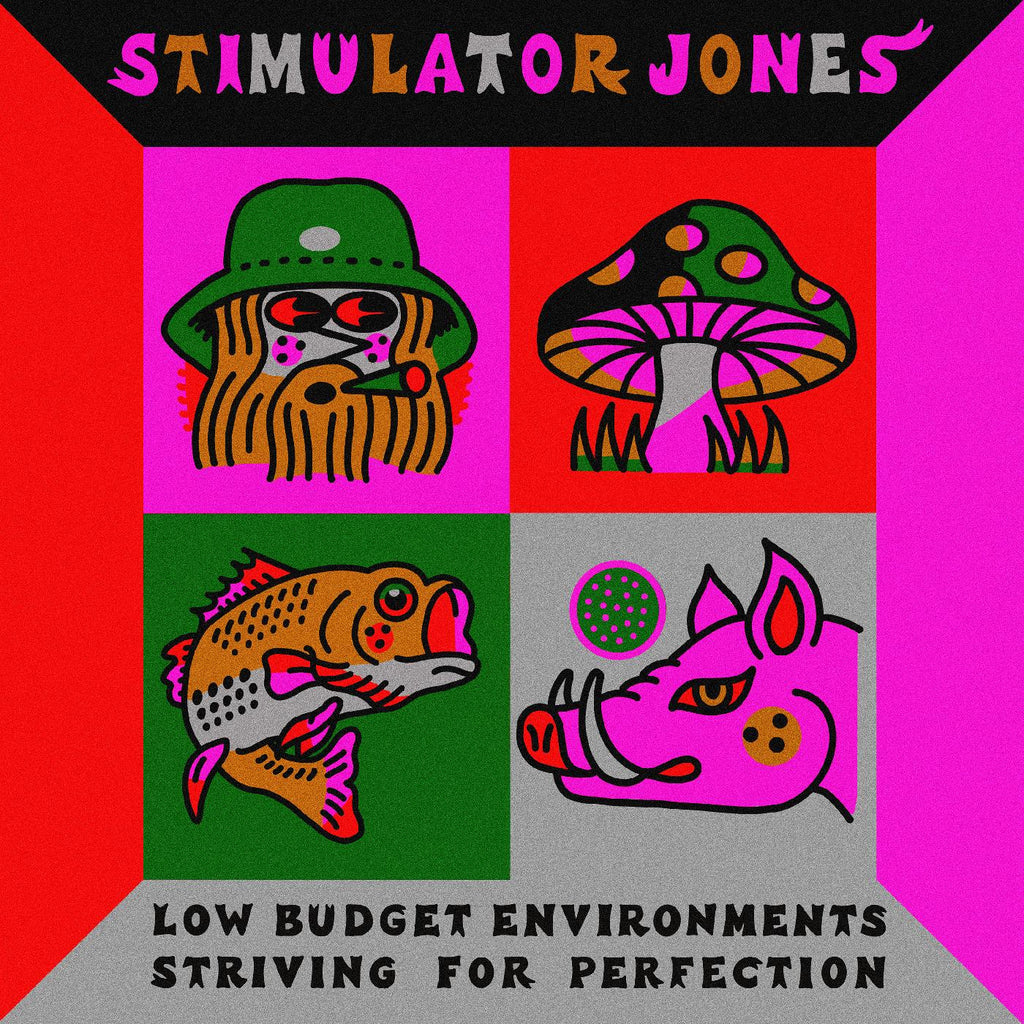 Stimulator Jones - Low Budget Environments Striving For Perfection ((Vinyl))