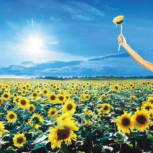 Stone Temple Pilots - Thank You ((Vinyl))