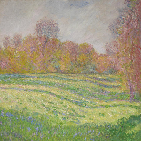 Strawberry Guy - Sun Outside My Window (BABY BLUE VINYL) ((Vinyl))