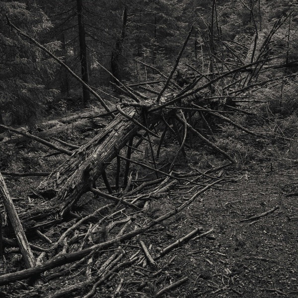 SULT - Always I Gnaw ((Vinyl))