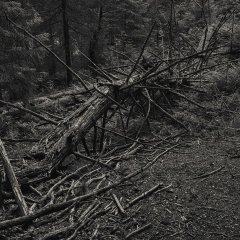 SULT - Always I Gnaw ((Vinyl))