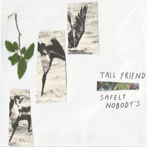 Tall Friend - Safely Nobody's ((Rock))