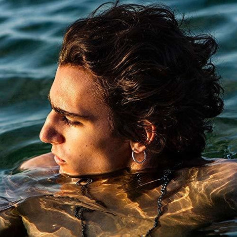 Tamino - Amir (180 Gram Vinyl) (2 Lp's) ((Vinyl))