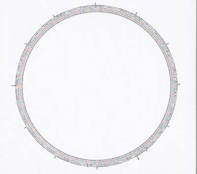 TBA EMPTY - Stupid Rotation ((CD))