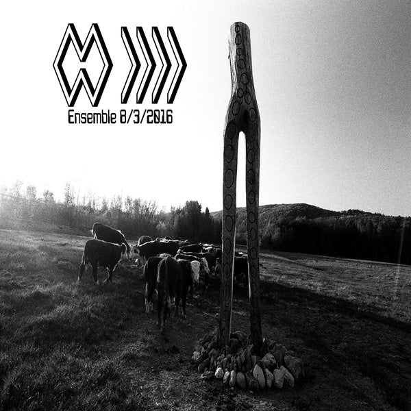 THE BAND WHOSE NAME IS A SYMBOL - Ensemble 8/3/2016 ((Vinyl))