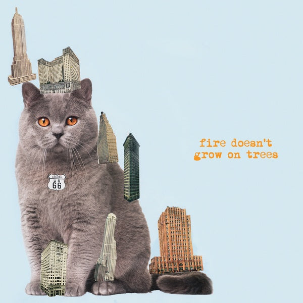 The Brian Jonestown Massacre - Fire Doesn't Grow On Trees ((Vinyl))