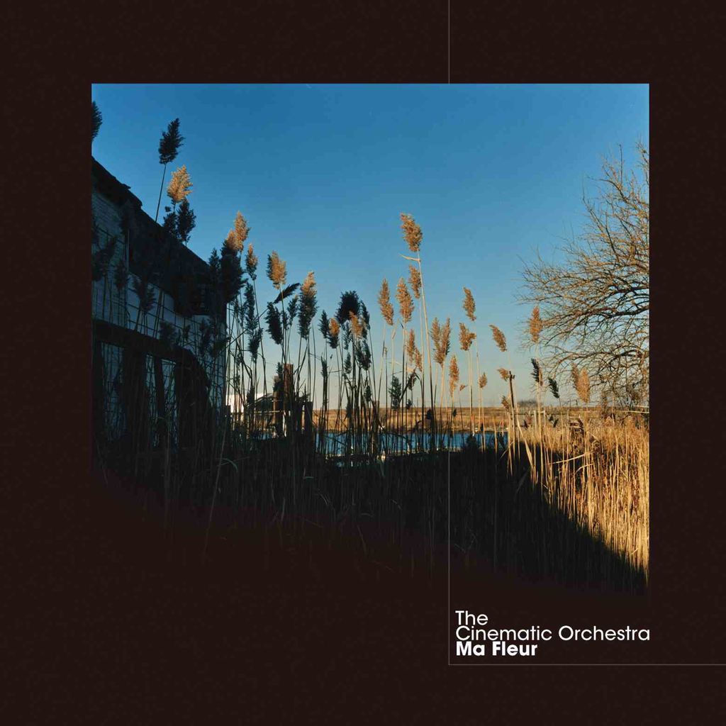 The Cinematic Orchestra - Ma Fleur ((Vinyl))