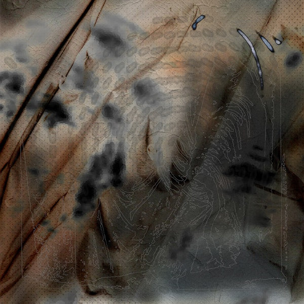 THE DRIFT INSTITUTE - Damages and Their Slices ((Vinyl))