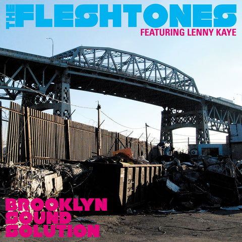 The Fleshtones - Brooklyn Sound Solution ((CD))