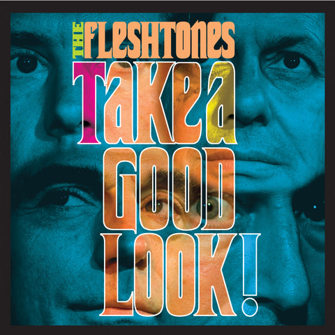 The Fleshtones - Take a Good Look ((CD))