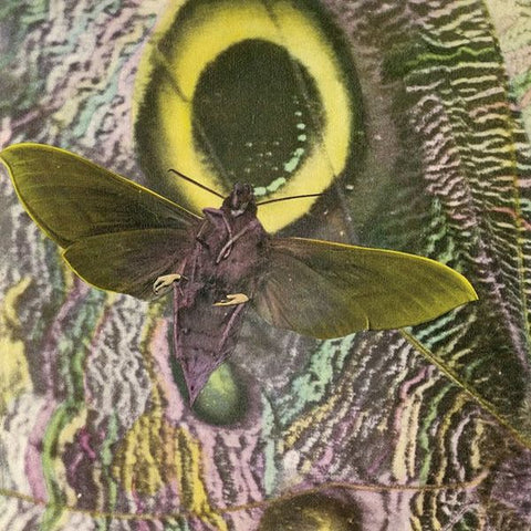 The Mothmen - Pay Attention! ((CD))