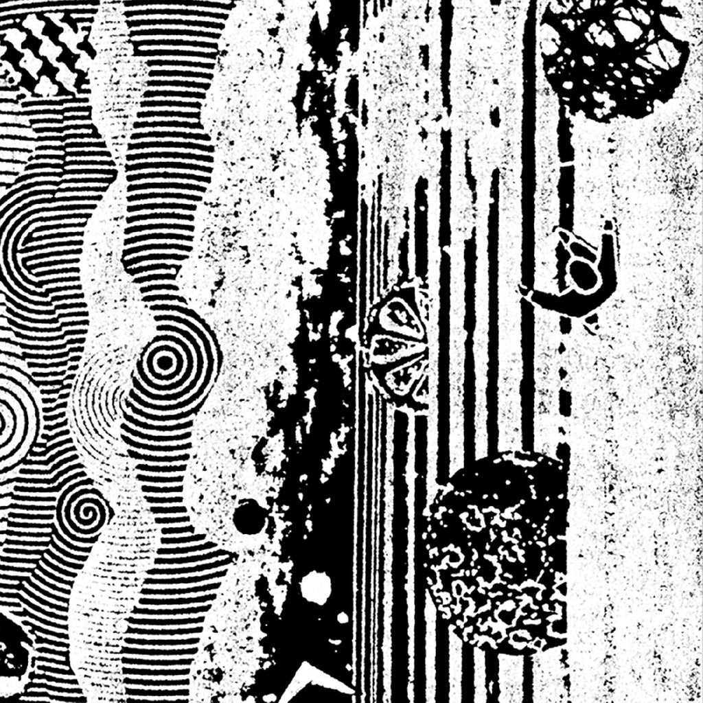 The Nightcrawlers - The Biophonic Boombox Recordings ((Vinyl))