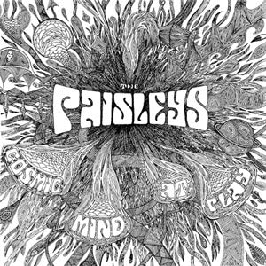The Paisleys - Cosmic Mind At Play ((Vinyl))