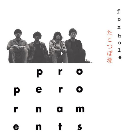 The Proper Ornaments - Foxhole ((CD))