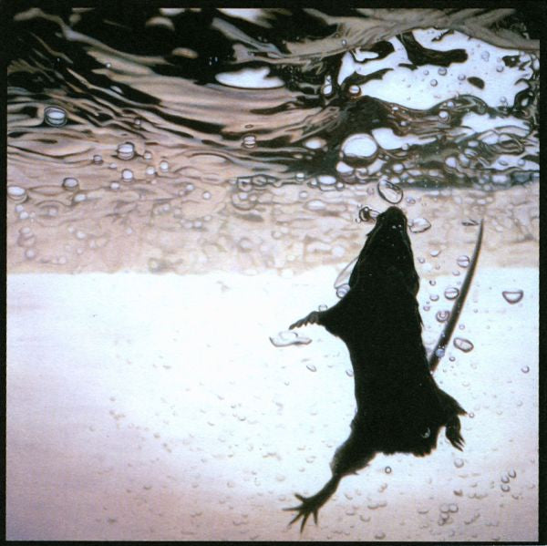 The Standard - Swimmer ((CD))