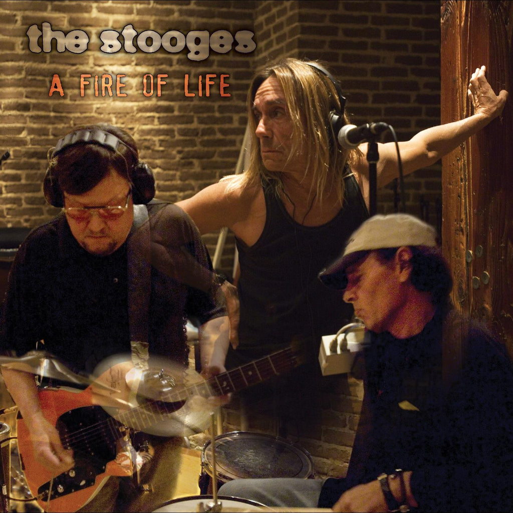 The Stooges - A Fire of Life ((CD))