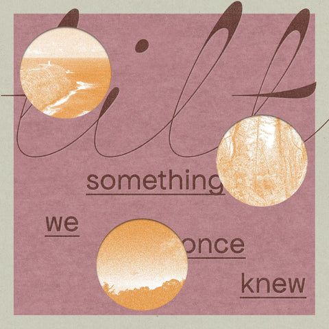 Tilt - something we once knew ((Vinyl))