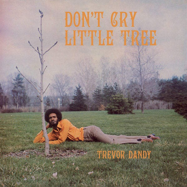 TREVOR DANDY - Don't Cry Little Tree ((Vinyl))