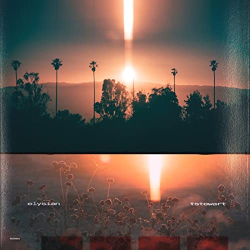 tstewart/Machinedrum - elysian [LP] ((Vinyl))