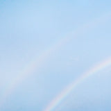 Turnstile - Never Enough (Birds Vinyl) (Indie Exclusive) (Purple Vinyl) ((Vinyl))