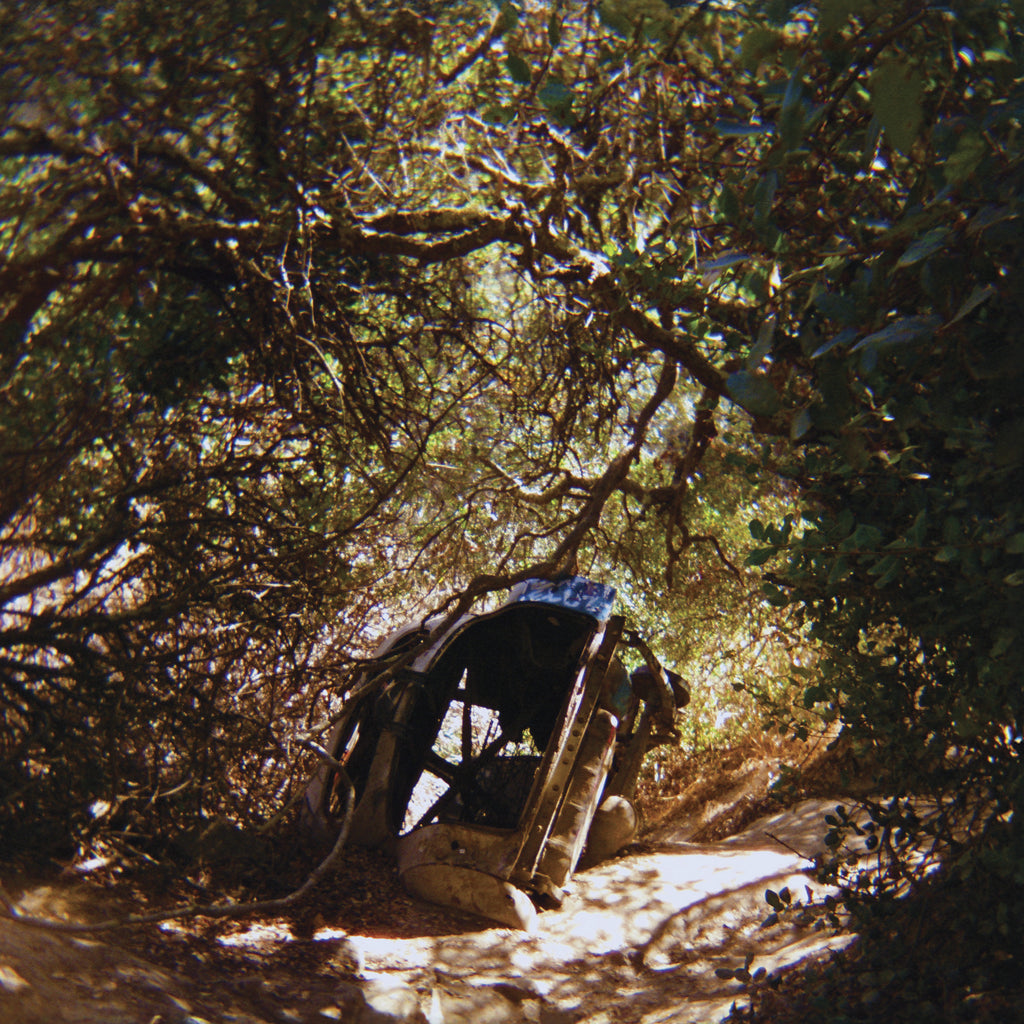 Ty Segall - Possession ((Vinyl))