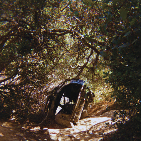 Ty Segall - Possession ((Vinyl))