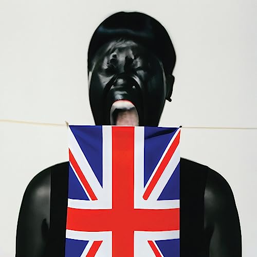 V V Brown - Am I British Yet? ((CD))