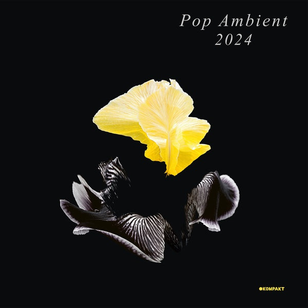 Va - Pop Ambient 2024 ((Vinyl))