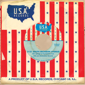 Various Artists - 2131 South Michigan Avenue: 60's Garage & Psychedelia from USA and Destination Records ((CD))