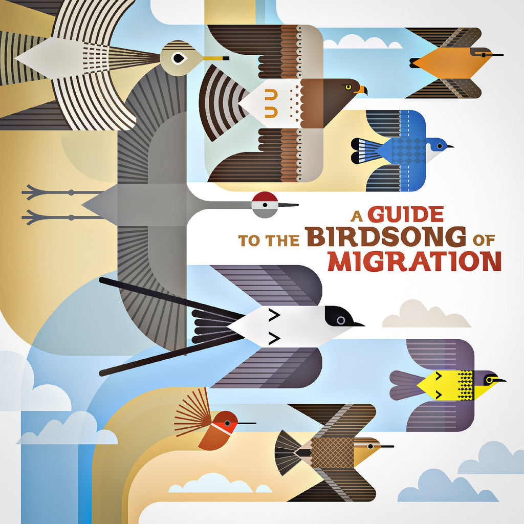 Various Artists - A Guide To The Birdsong Of Migration ((Vinyl))
