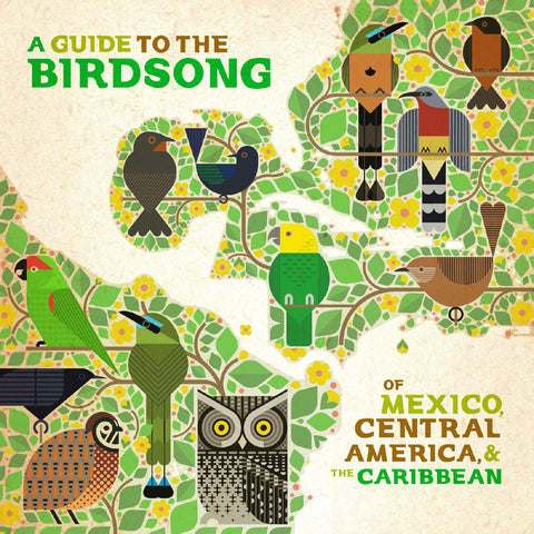 Various Artists - A Guide to the Birdsongs of Mexico, Central America & the Caribbean ((Vinyl))