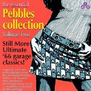 Various Artists - Essential Pebbles Vol. 2 ((CD))