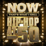 Various Artists - Now That's What I Call Hip-Hop At 50 (Limited Edition, Translucent Black Ice Colored Vinyl) (2 Lp) ((Vinyl))
