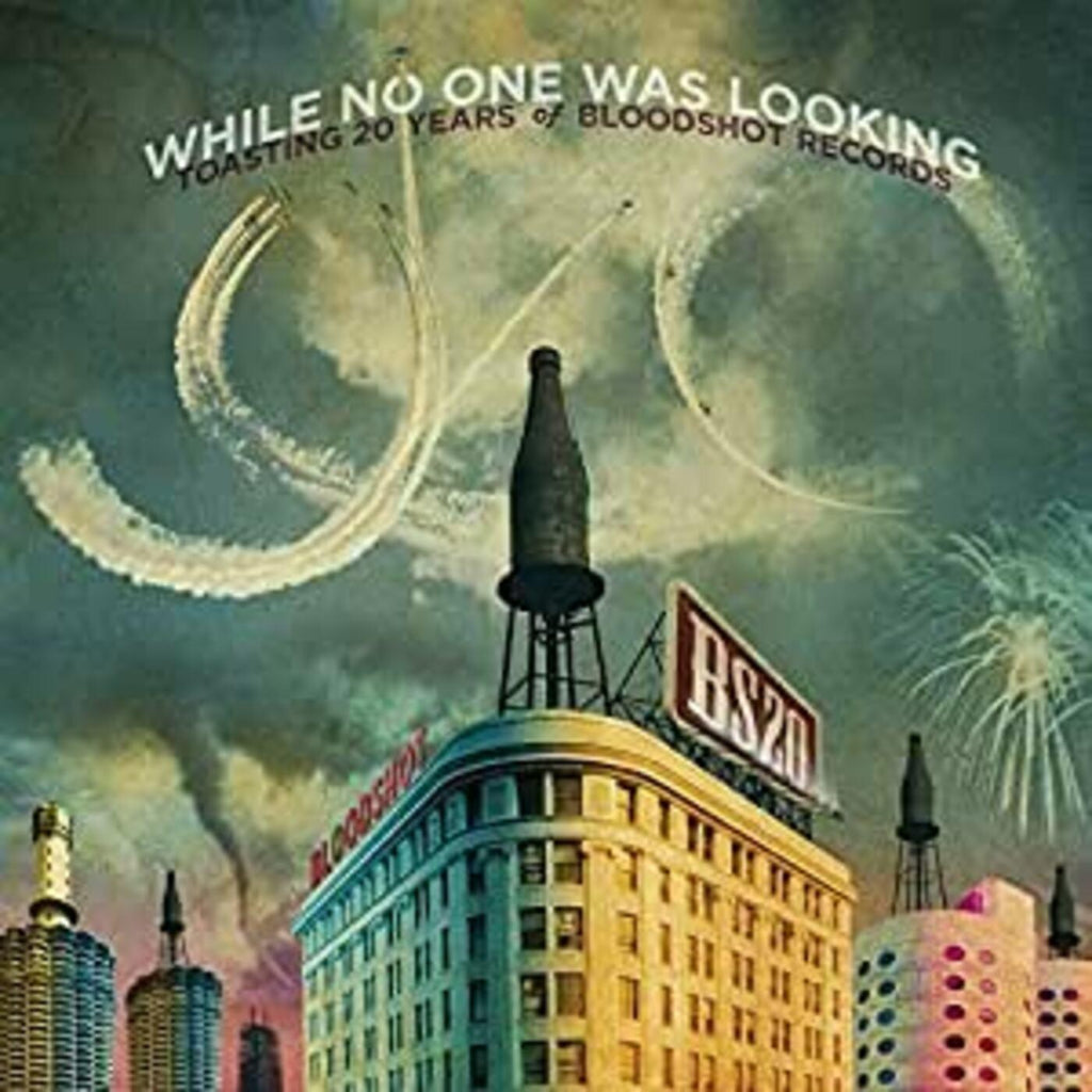 Various Artists - While No One Was Looking: Toasting 20 Years ((Vinyl))