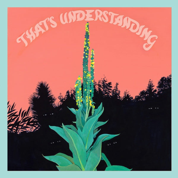 VILLAGE OF SPACES - That's Understanding ((CD))