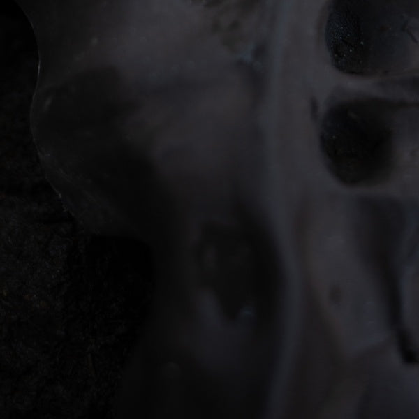 VITO GATTO - Evolve ((Vinyl))