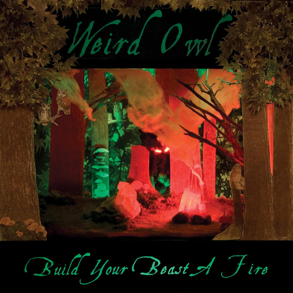 Weird Owl - Build Your Beast A Fire ((CD))