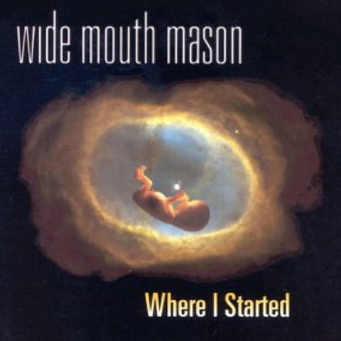 Wide Mouth Mason - Where I Started ((Vinyl))