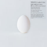 Wilco - A Ghost Is Born (Deluxe Edition, Boxed Set, With CD) ((9 Lp's/ 4 Cd's Box set) ((Vinyl))