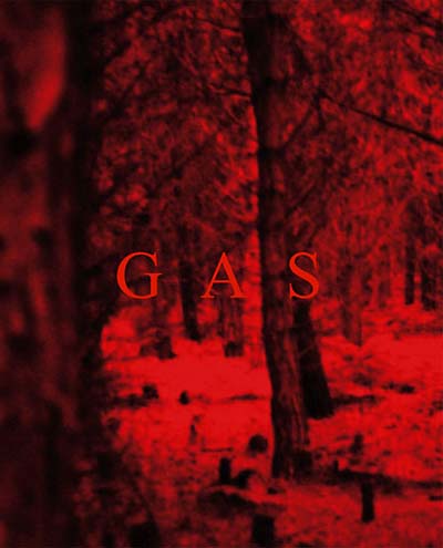 WOLFGANG VOIGT - Gas ((Book))