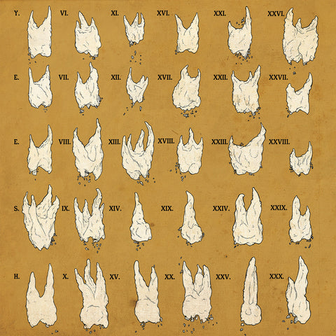 Yeesh - Confirmation Bias ((Vinyl))