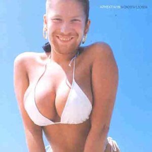 Aphex Twin - WINDOWLICKER ((Vinyl))
