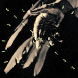 Bad Religion - Generator - Anniversary Edition (Colored Vinyl, Green, Clear Vinyl) ((Vinyl))