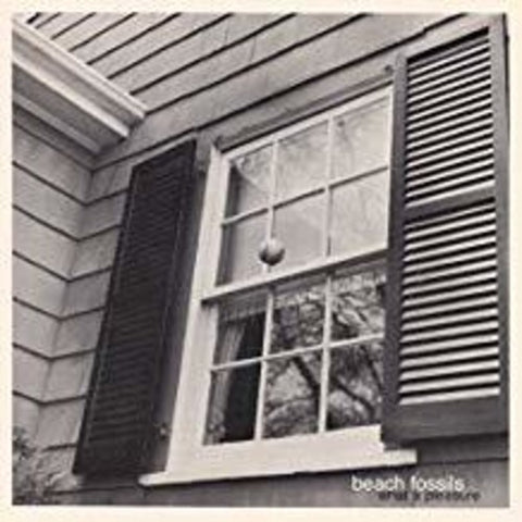 Beach Fossils - What a Pleasure ((Vinyl))