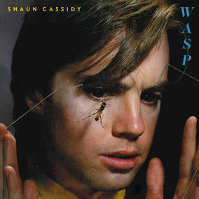 Cassidy, Shaun - WASP ((Vinyl))
