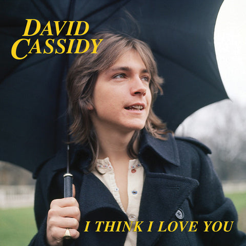 David Cassidy - I Think I Love You (Limited Edition, Blue, Pink) (7" Single) ((Vinyl))