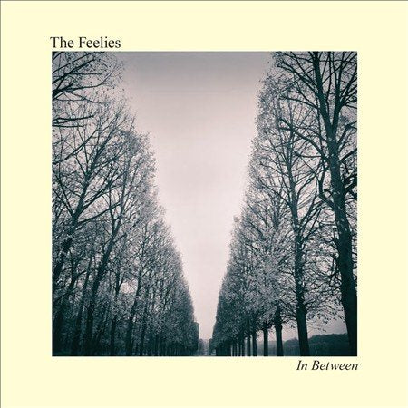 Feelies - IN BETWEEN ((Vinyl))