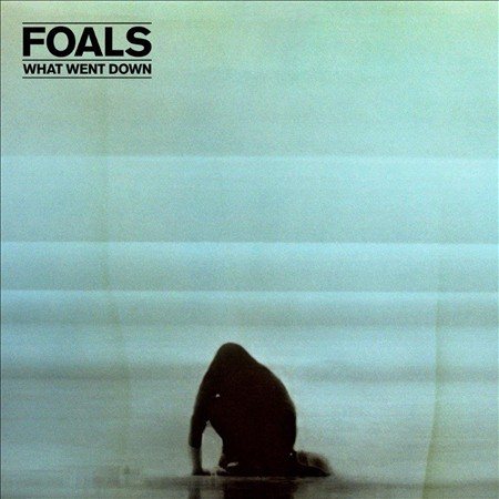 Foals - WHAT WENT DOWN ((Vinyl))